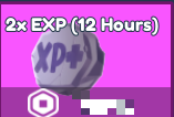 2x Exp (12 hours)