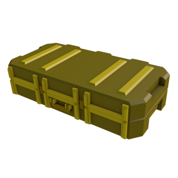 Skin Case 2