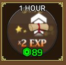 1 Hour x2 EXP