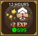 12 Hour x2 EXP